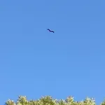 Hébergement de vacances Domaine Des Cerisiers