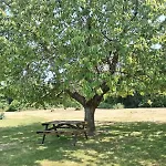 Hébergement de vacances Domaine Des Cerisiers