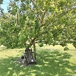 Domaine Des Cerisiers Hébergement de vacances Berville-sur-Mer