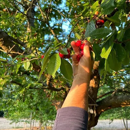 Domaine Des Cerisiers 度假居