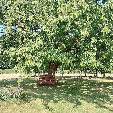 Domaine Des Cerisiers