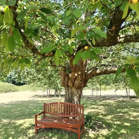 Domaine Des Cerisiers 度假居