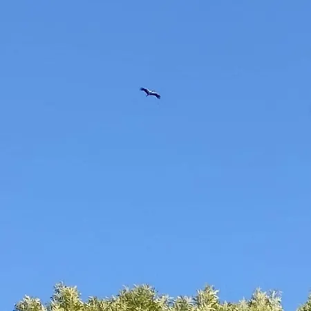 Hébergement de vacances Domaine Des Cerisiers