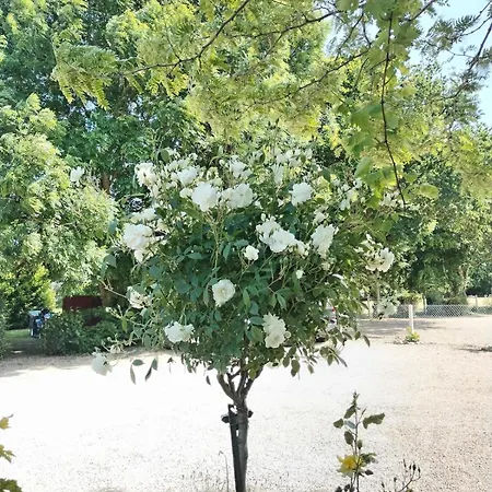 Domaine Des Cerisiers Berville-sur-Mer