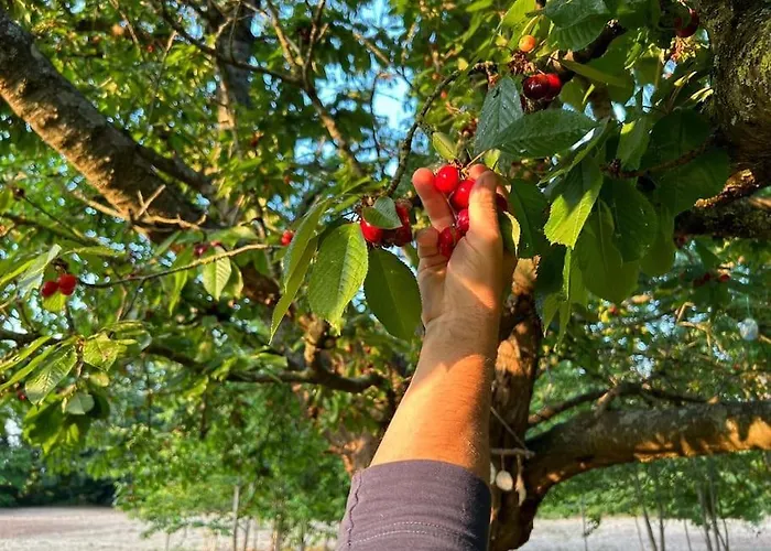 Domaine Des Cerisiers - Acces Direct Piste Cyclable Reliant Honfleur - Parking Prive - Grand Jardin Holiday home