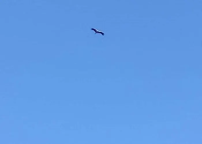 Holiday home Domaine Des Cerisiers - Acces Direct Piste Cyclable Reliant Honfleur - Parking Prive - Grand Jardin