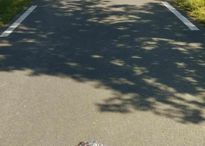 Domaine Des Cerisiers - Acces Direct Piste Cyclable Reliant Honfleur - Parking Prive - Grand Jardin Berville-sur-Mer