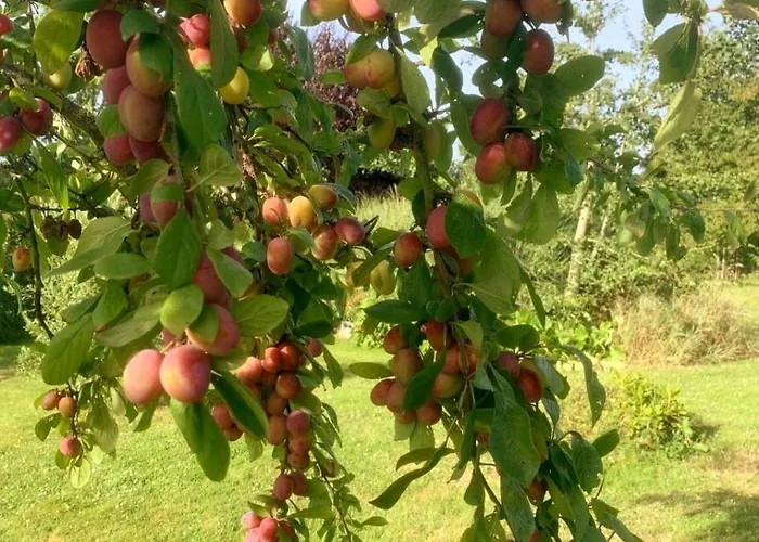 Holiday home Domaine Des Cerisiers - Acces Direct Piste Cyclable Reliant Honfleur - Parking Prive - Grand Jardin *