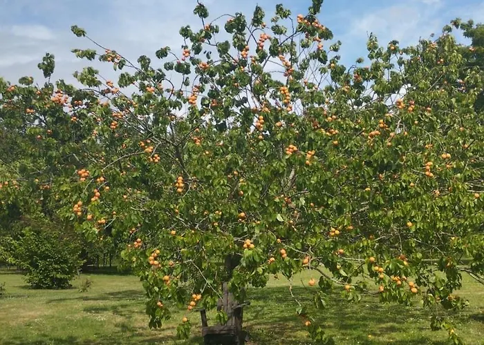 Domaine Des Cerisiers - Acces Direct Piste Cyclable Reliant Honfleur - Parking Prive - Grand Jardin *