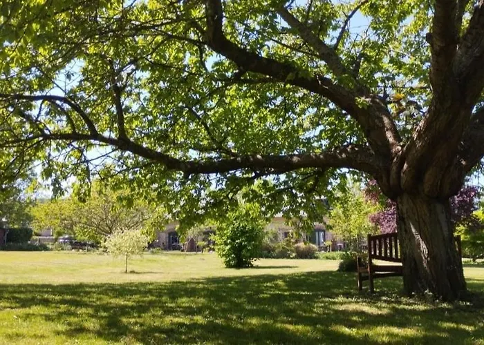 Domaine Des Cerisiers - Acces Direct Piste Cyclable Reliant Honfleur - Parking Prive - Grand Jardin *