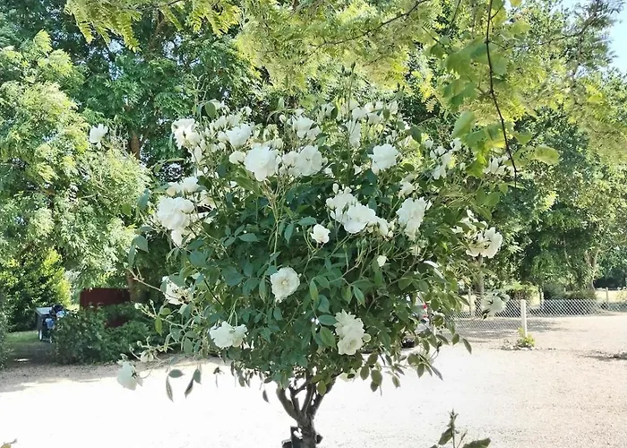 Domaine Des Cerisiers - Acces Direct Piste Cyclable Reliant Honfleur - Parking Prive - Grand Jardin Berville-sur-Mer